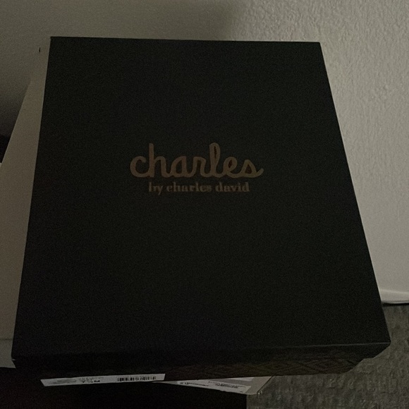 Vast Sandal
CHARLES BY CHARLES DAVID - Picture 6 of 8